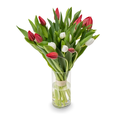 Bouquet of red tulips